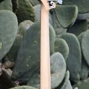 Fender Precision American Highway 2007 neck