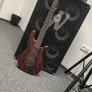 Spector NS Pulse Cinder Red + fishman fluence