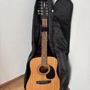 Cort AD 810E-12 OP