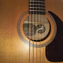 Seagull S6 CEDAR