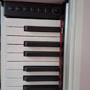 Elektrické piano Sencor