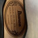 Ibanez AS53-TKF