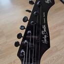 Harley Benton JA-Baritone P90 + Dimarzio snímač