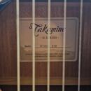 Takamine GF30CE