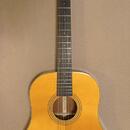 Dvanáctistrunná elektroakustická kytara TANGLEWOOD TW40-12 S
