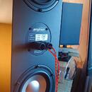 Amphion TWO 18 + Amphion amp 700