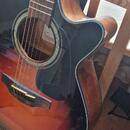 Takamine GF30CE