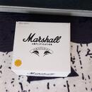 Marshall 2525C Silver Jubilee