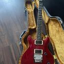 Yamaha MSG Image Deluxe