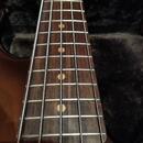 Lakland USA Dual J 5