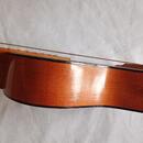 3/4 KYTARA CREMONA
