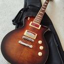 Elektrická gitara LTD EC 256FM a príslušensto