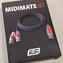 Behringer SWING + ESI MIDIMATE eX