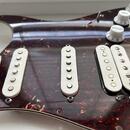 Osazený pickguard na Fender stratocaster 
