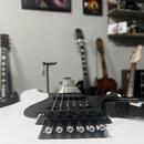 Schecter Sun Valley Super Shredder FR Sustainiac + Tremmory 