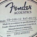 Fender CD-100-12 dvanáctistrunka