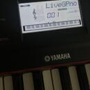 keyboard YAMAHA 