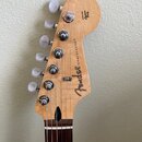 Parts-caster Strat, Vegas-gold, Fender Player krk