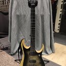 Ibanez RGDIX6PB Iron Label