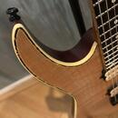 Ibanez RGEW521FM-NTF Exotic Wood – DiMarzio & Roasted Maple