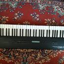 Roland U20 Japonsko