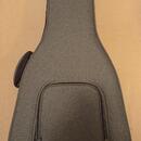 Dvanáctistrunná elektroakustická kytara TANGLEWOOD TW40-12 S