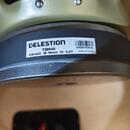 Celestion G12 Vintage 30 16 OHm 60 Watt 