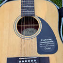 Fender CD-100-12 dvanáctistrunka