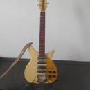Rickenbacker 325