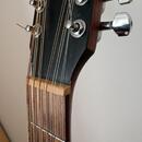 Cort AD 810E-12 OP