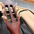 Godin MultiAC Steel