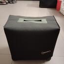ROLAND CUBE 30 Cosm