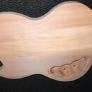 DIY SG typ