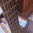 Takamine GF30CE