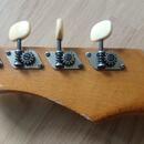 JOLANA BASS IV. + HLAZENÉ STRUNY