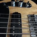 Baskytara 5 strun SCHECTER 
