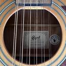 12strunná akustika Cort Earth 70/12 NS - masivní deska