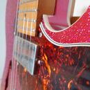 Prodam nebo Vymenim Telecaster Thinline 69 Partcaster