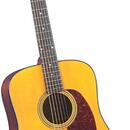 Kytara Blueridge „George Shuffler“ BR-4060 (historická řada)