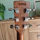 Dreadnought Cort MR 500E OP