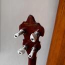 Richwood RMB-905-A 5 String Banjo