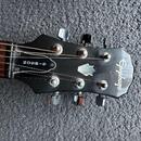 Gibson Epiphone PR-350