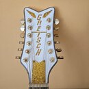 Prodám 12strunnou elektroakustiku Gretsch G5022CWFE-12 Ranch