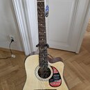 12strunná elektroakustická kytara