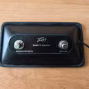Peavey Classic 50 212 - rezervace