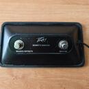 Peavey Classic 50 212