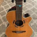 Takamine DSF 65 C Santa Fe
