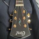 Cort O6 Gold - akustická celomasívna gitara 