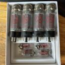 Engl Artist Edition Blackout 100 