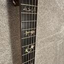 Taylor 910e / R.V 2014 / DREADNOUGHT /